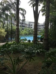 Meadows @ Peirce (D26), Condominium #198977442